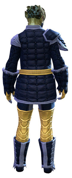 File:Studded armor sylvari male back.jpg