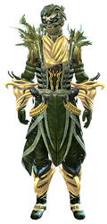 Trickster's armor sylvari male front.jpg