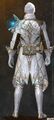 Astral Scholar Outfit human male back.jpg