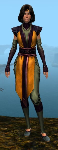 File:Light Monastery armor norn female front.jpg