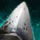 Enormous Megalodon Tooth.png