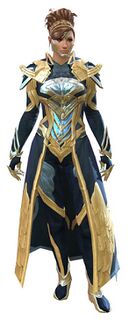 Council Watch armor norn female front.jpg