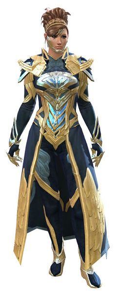 File:Council Watch armor norn female front.jpg