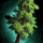 Thick Drizzlewood Coast Tree Token.png