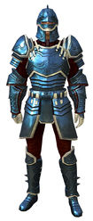 Ascalonian Protector armor human male front.jpg