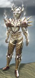 Requiem armor (heavy) sylvari female front.jpg