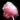 Stick of Cotton Candy.png