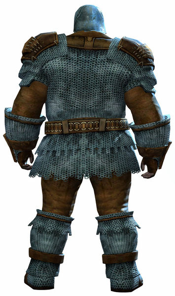 File:Worn Chain armor norn male back.jpg