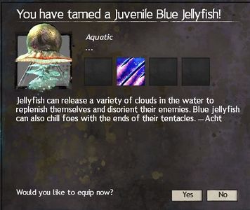 Description of a Blue Jellyfish.