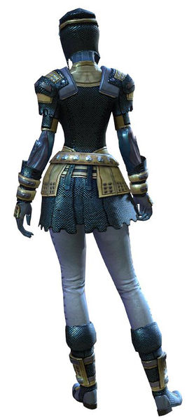 File:Chainmail armor sylvari female back.jpg