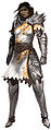 Female Seraph Guard.jpg
