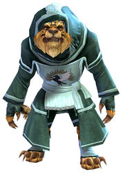 Guild Archmage armor charr male front.jpg