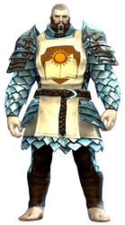 Guild Defender armor norn male front.jpg