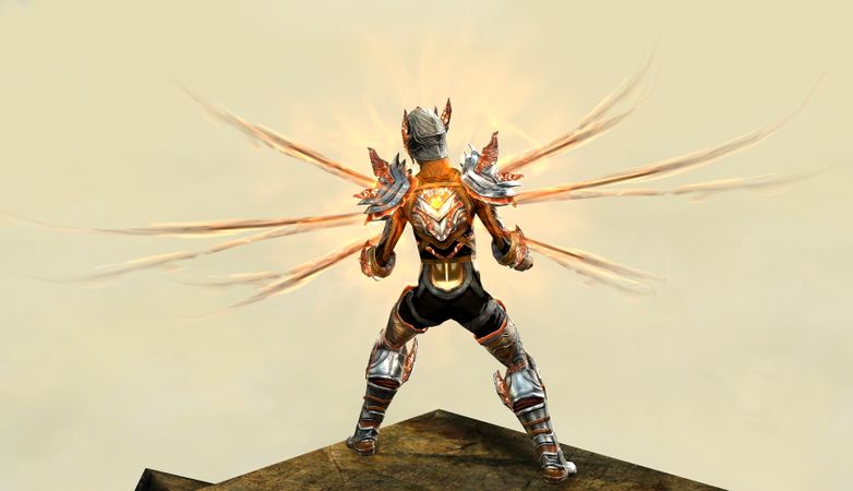 Back view in combat stance
