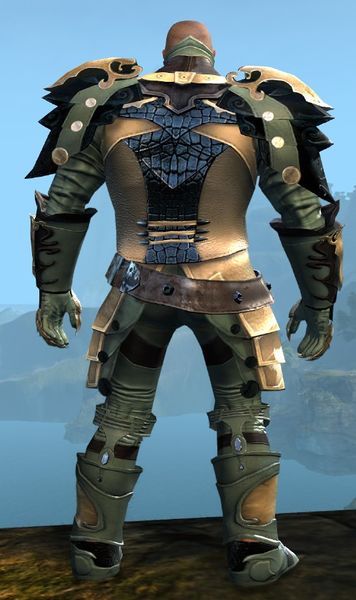 File:Triumphant armor (medium) norn male back.jpg