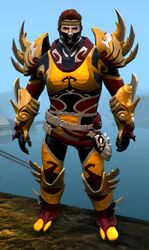 Ancient Canthan armor (medium) norn male front.jpg