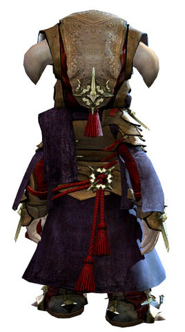 Arcane Outfit - Guild Wars 2 Wiki (GW2W)