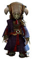 Arcane Outfit asura male back.jpg