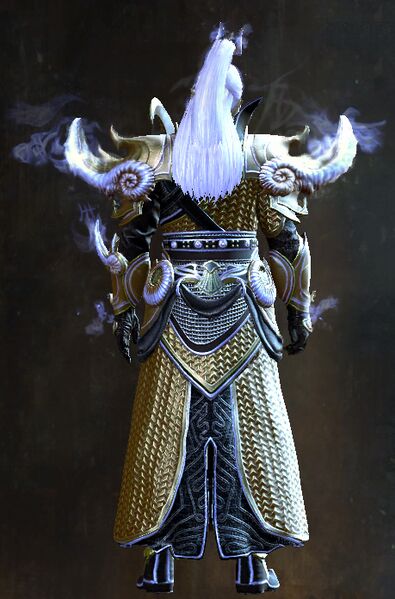 File:Divine Conqueror Outfit sylvari male back.jpg