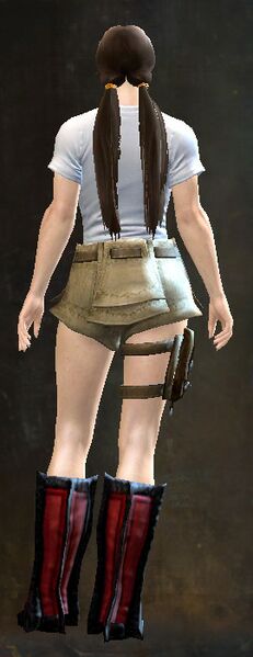 File:End of Dragons Emblem Clothing Outfit norn female back.jpg