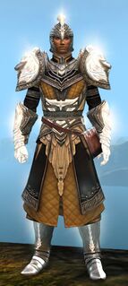 Radiant armor (light) human male front.jpg