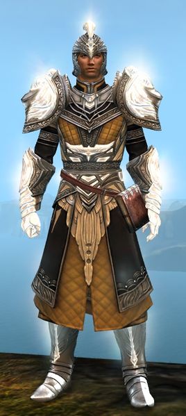File:Radiant armor (light) human male front.jpg