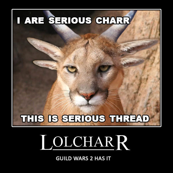 File:User The Holy Dragons Lolcharr.jpeg