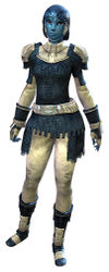 Worn Chain armor sylvari female front.jpg