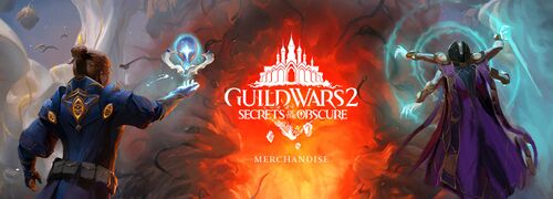 Guild Wars 2 Merch Store.jpg