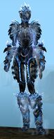 Ice Reaver armor human female front.jpg