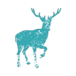 Proxemics Lab Stag.png