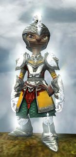 Radiant armor (light) asura male front.jpg