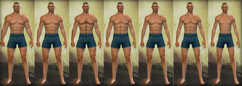 File:Human male physique.jpg
