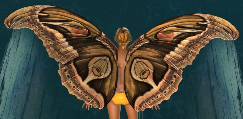 File:Moth Wings Glider.jpg