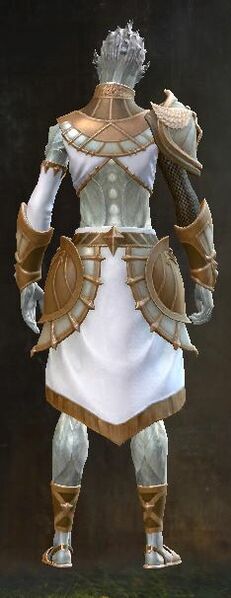 File:Sanctified armor sylvari male back.jpg