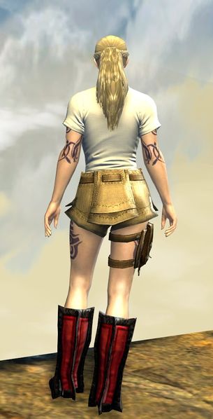 File:Dragon Emblem Clothing Outfit norn female back.jpg