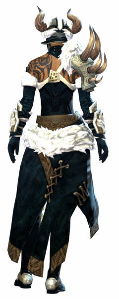 File:Braham's armor norn female back.jpg