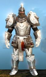 Radiant armor (heavy) norn male front.jpg