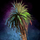 Potted Palm.png