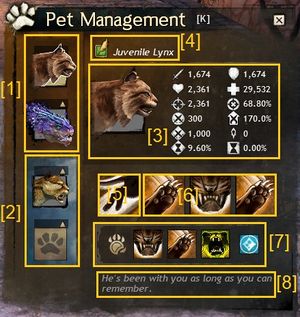 Gw2 Hunter Pets