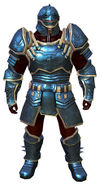 Ascalonian Protector armor norn male front.jpg