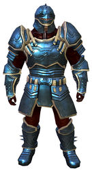 Ascalonian Protector armor norn male front.jpg
