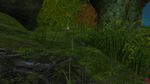 Mist-Touched Cache - Jungle Anomaly 2 Screen Shot.jpg