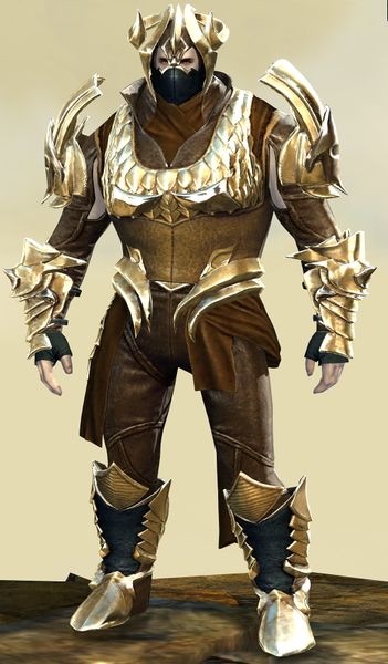 File:Mist Shard armor (medium) norn male front.jpg