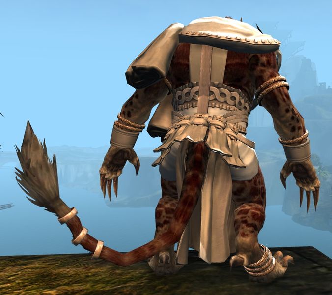 File:Wedding Attire Outfit charr male back.jpg