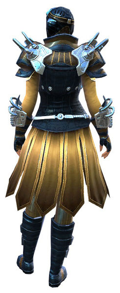 File:Aetherblade armor (medium) norn female back.jpg