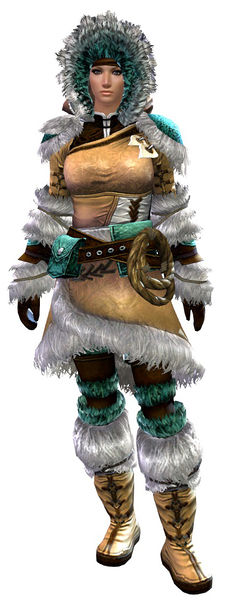 File:Arctic Explorer Outfit norn female front.jpg