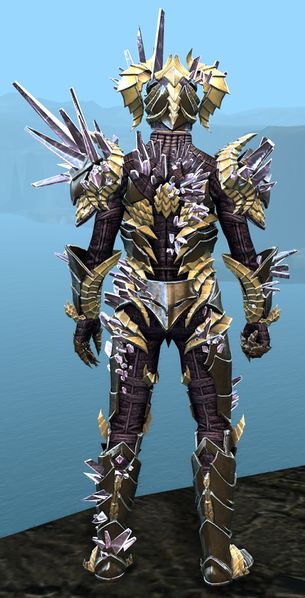File:Blossoming Mist Shard armor (heavy) human male back.jpg