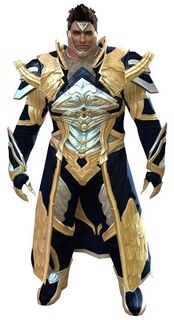 Council Watch armor norn male front.jpg