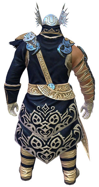 File:Illustrious armor (medium) norn male back.jpg